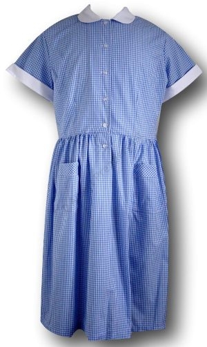 Traditional Sky Blue Gingham Summer Dress