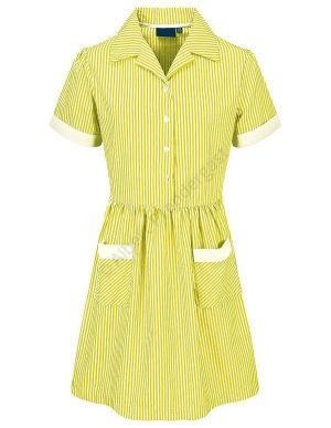 Traditional Yellow Candy Stripe Summer Dress (Smaller Size)