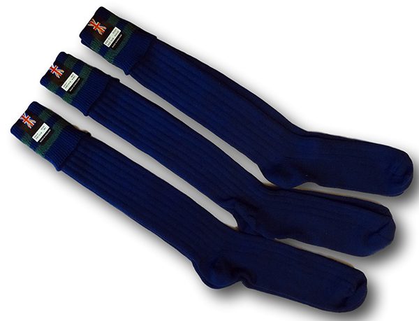 Boy Scout 4 Ply Royal Blue Knee Length Socks With Green Trim | Albert ...
