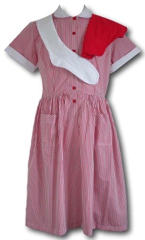 Complete Girls Traditional School Uniform With Summer Dress & NO Blazer