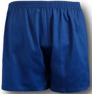Cotton P.E. Shorts In Navy Blue | Albert Prendergast
