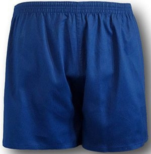 Cotton P.E. Shorts In Navy Blue | Albert Prendergast