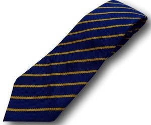 Royal & Gold Narrow Stripe School Tie