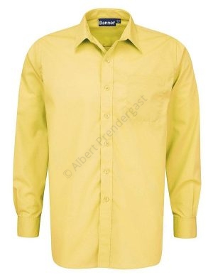 Yellow Shirt - Long & Short Sleeves
