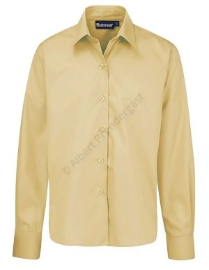 Tussore Collared Blouse - Long & Short Sleeve