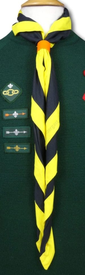 Cub & Scout Necker In Black With Yellow Border