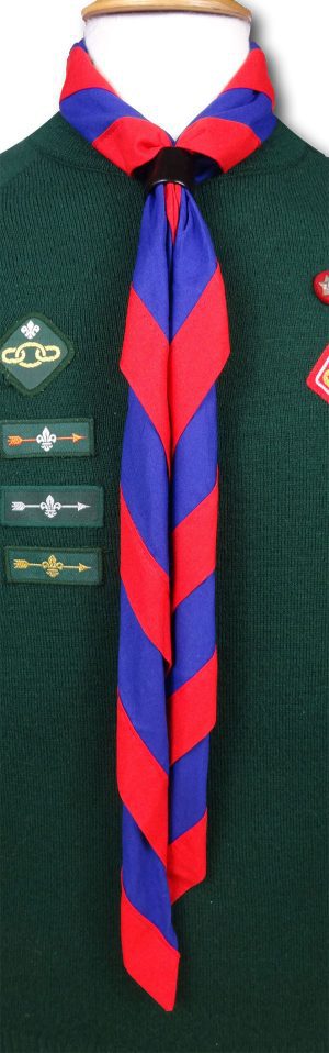 Cub & Scout Necker In Royal Blue With Red Border