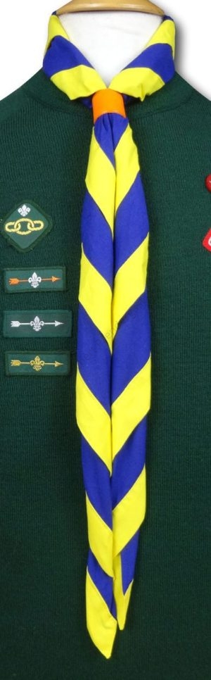 Cub & Scout Necker In Royal Blue With Yellow Border