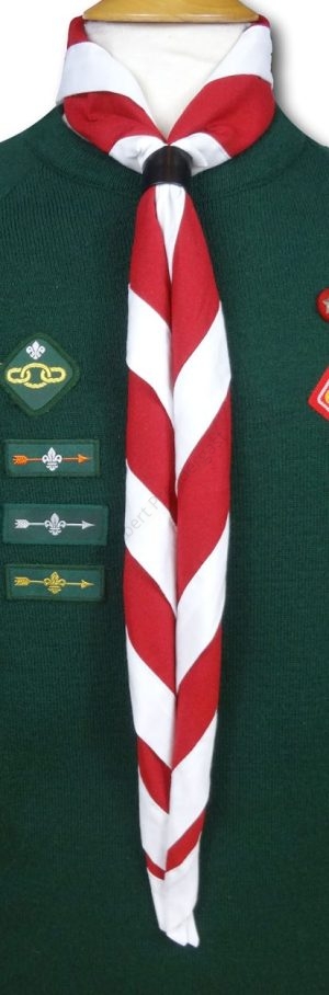 Cub & Scout Necker In Ruby Red With White Border