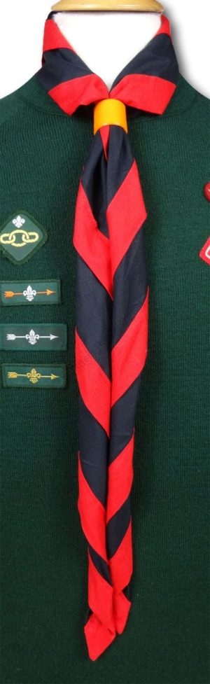 Cub & Scout Necker In Black With Red Border