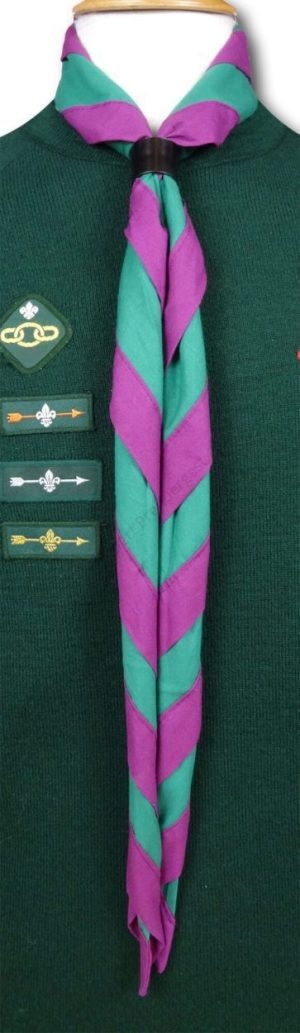 Cub & Scout Necker In Green With Purple Border