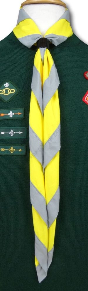 Cub & Scout Necker In Yellow With Grey Border