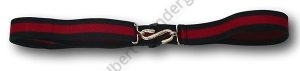 Elastic Snake Belt In Green & Red