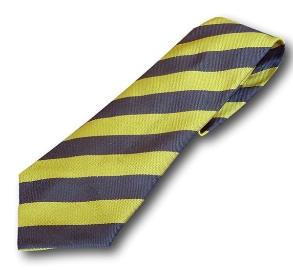 Brown & Gold Broad Stripe School Tie | Albert Prendergast